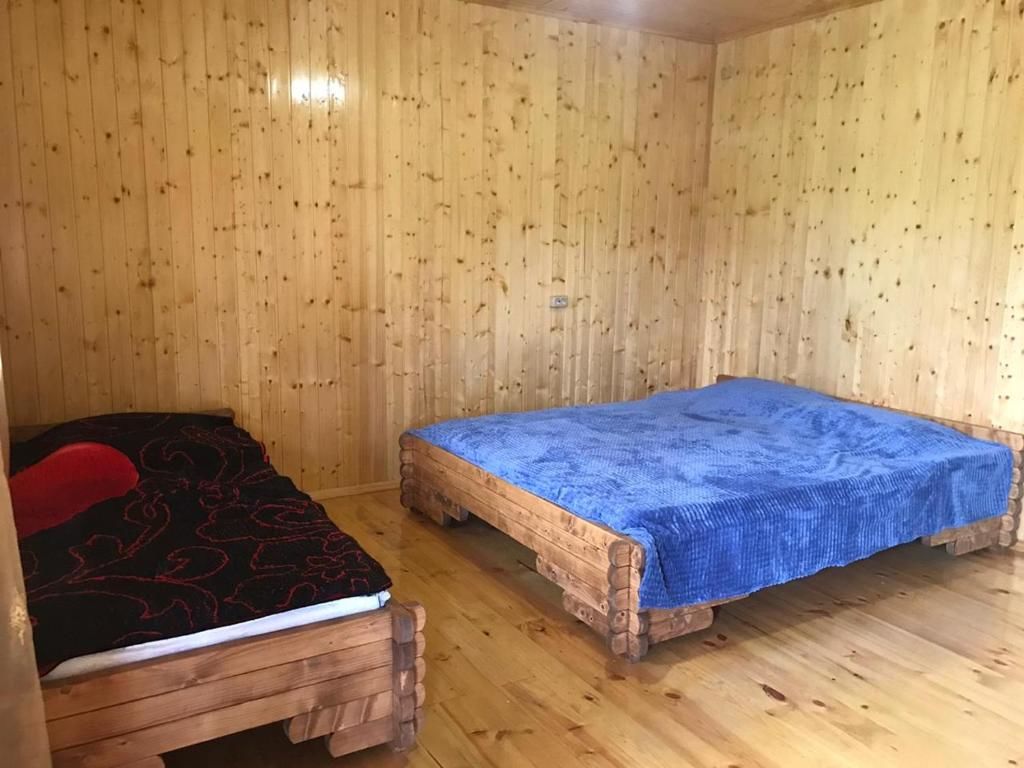 Гостевой дом Коттедж 1 (номер 1) Пицунда